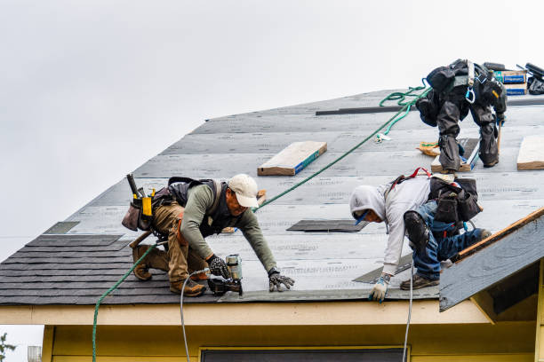 Professional Storm Damage Roof Repair technician working in Battle Ground, IN